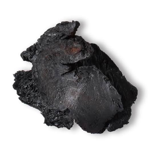 熟地黄（100g)